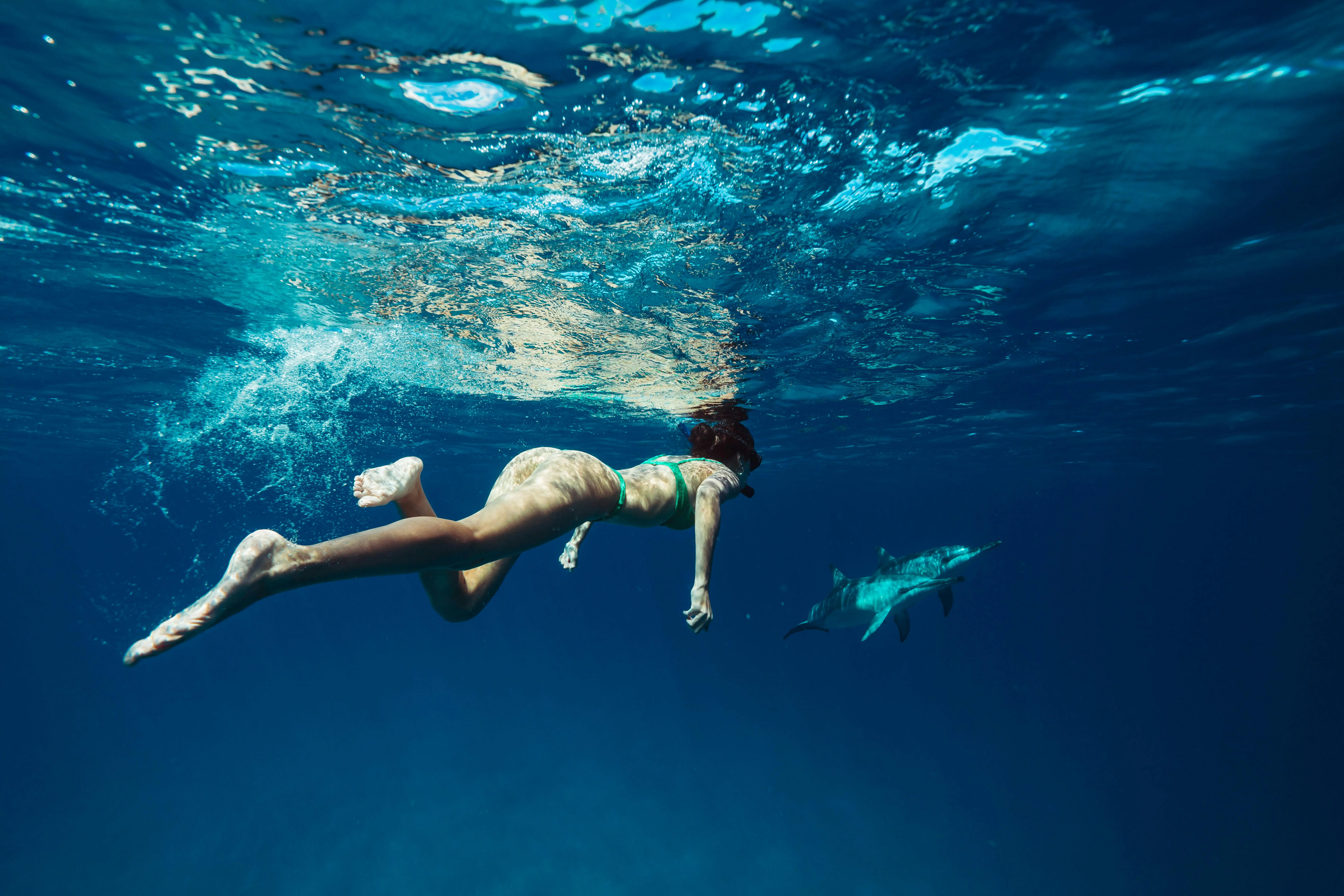 Explore Kizimkazi Dolphin area with Zanzibar car rental services from Kizingo Cars - Enjoy a once-in-a-lifetime experience swimming with dolphins in clear blue waters